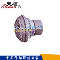 弹性联轴节-弹性联轴节制动轮