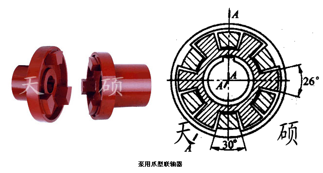 爪型联轴器